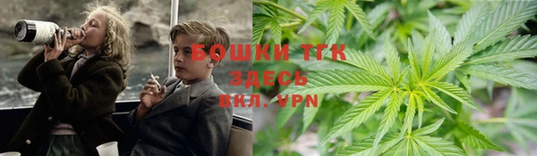 тгк Пестово