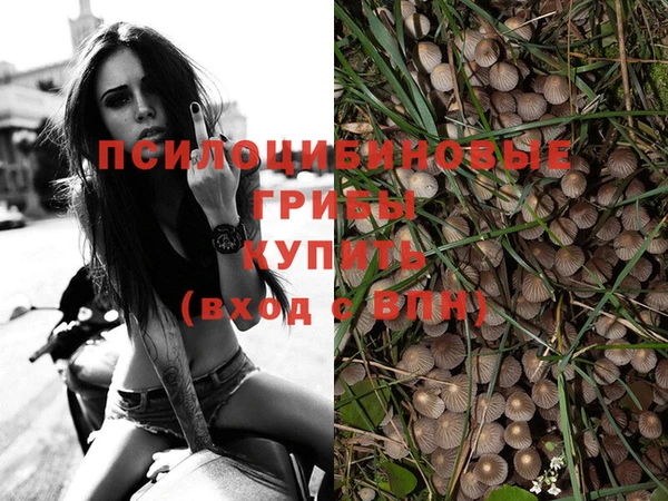 тгк Пестово