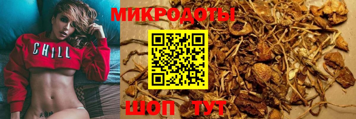 Псилоцибиновые грибы MAGIC MUSHROOMS  где купить наркоту  Шумерля  Вход с VPN 