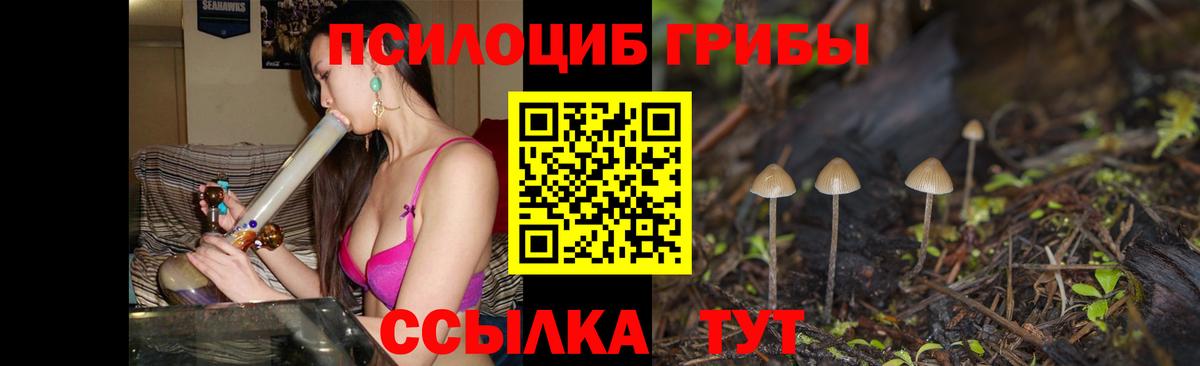 Псилоцибиновые грибы мухоморы Шумерля